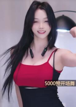桢宝 直播录屏