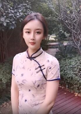 茶杯狐