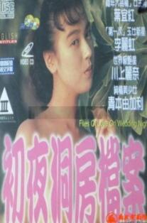 初夜洞房档案
