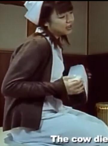 哭泣的牛