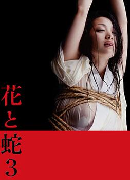 花与蛇3 2010