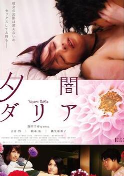黄昏大丽花