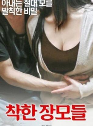 善良的岳母日本版
