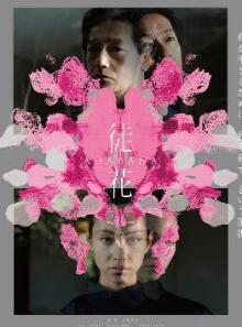 谎花